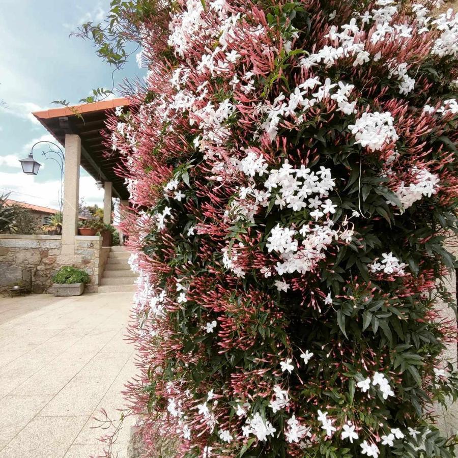 أماريس Casas Casal Do Carvalhal - Agroturismo المظهر الخارجي الصورة
